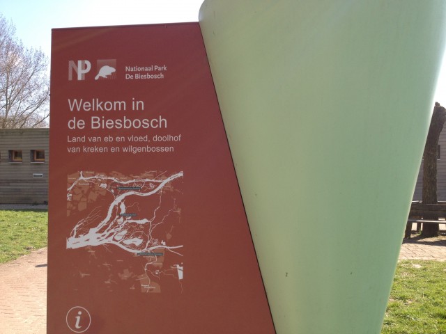 biesbosch_12