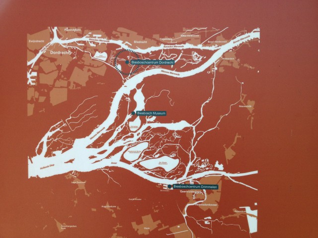 biesbosch_13
