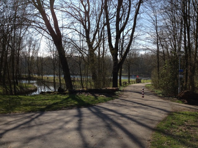 biesbosch_5