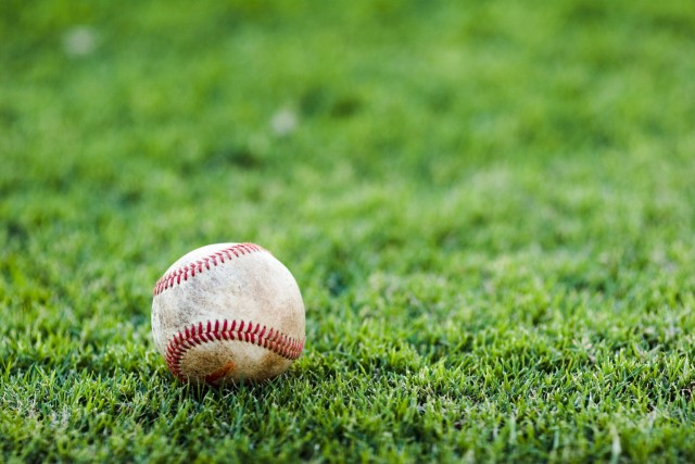 honkbal