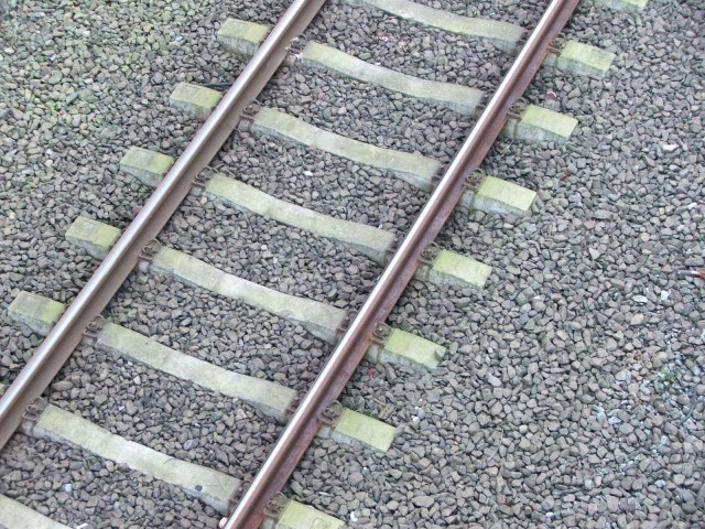 spoor