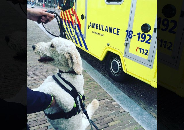 vrouw aangereden op voorstraat