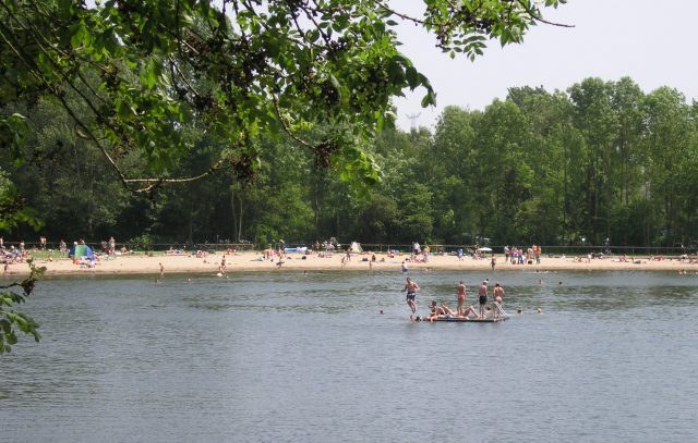 merwelanden dordrecht biesbosch