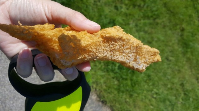 gebakken spons alblasserdam