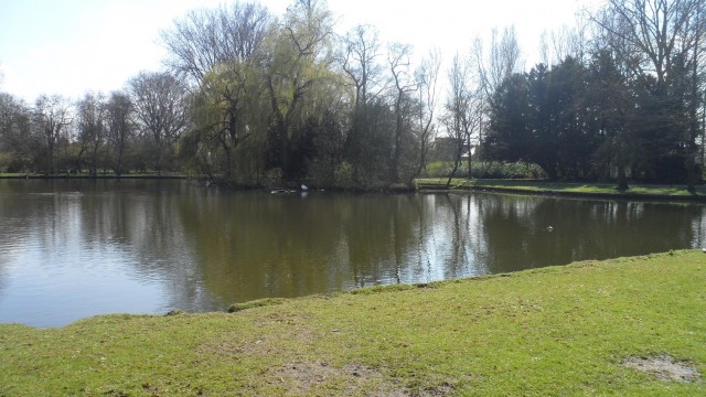 vijver wantijpark