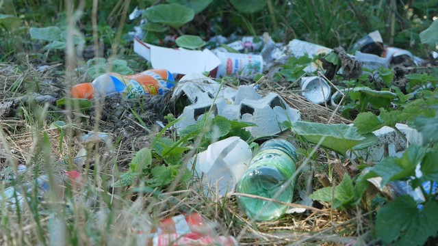 Afval in de natuur 1