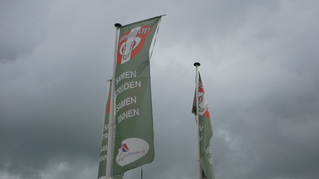 FC Dordrecht - Vlag