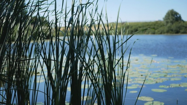 Noordhoeksewiel 1 watervijver