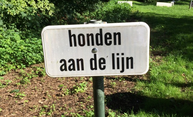 bord honden aan de lijn