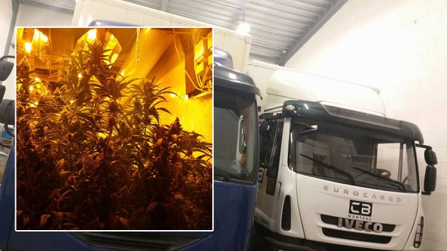hennepplantage vrachtwagens hardinxveld