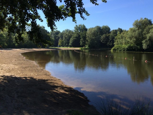 merwelanden biesbosch