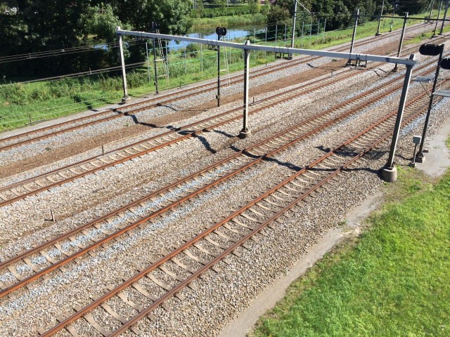 spoor