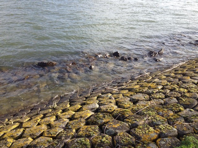water rivier oever
