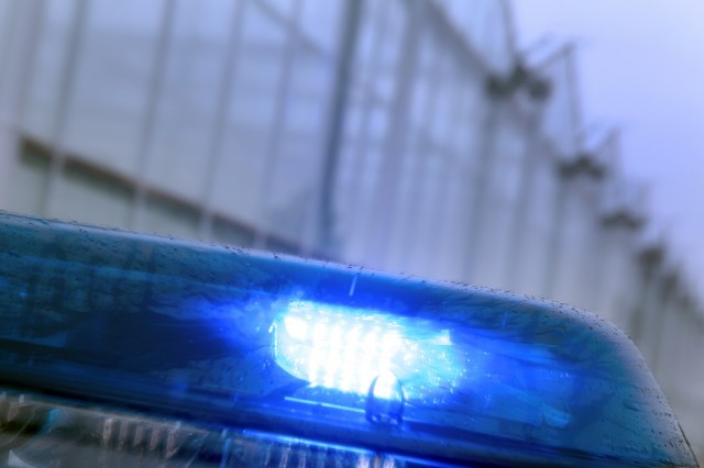 zwaailicht politieauto