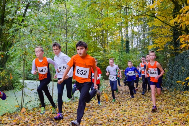 passaat-cross-2016-2