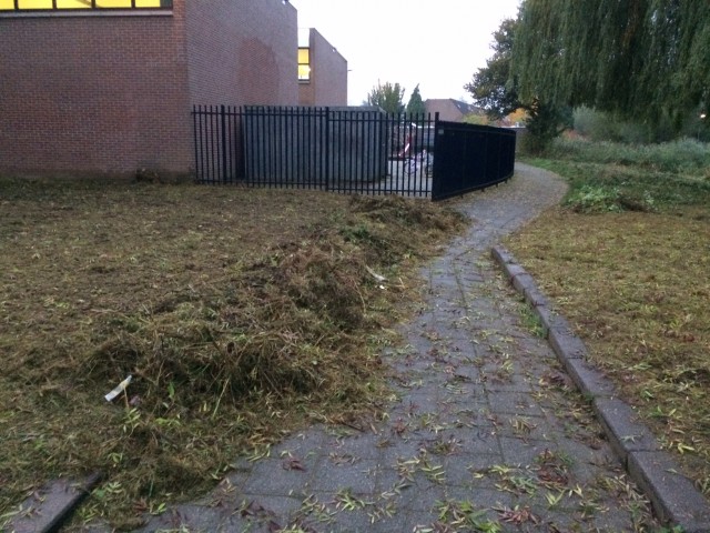 gemaaid-onkruid-scholencomplex-stadspolders