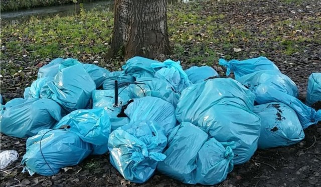 hennepafval-gedumpt-alblasserbos