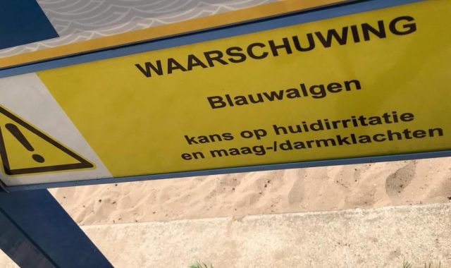 bord-blauwalg-zwemwater