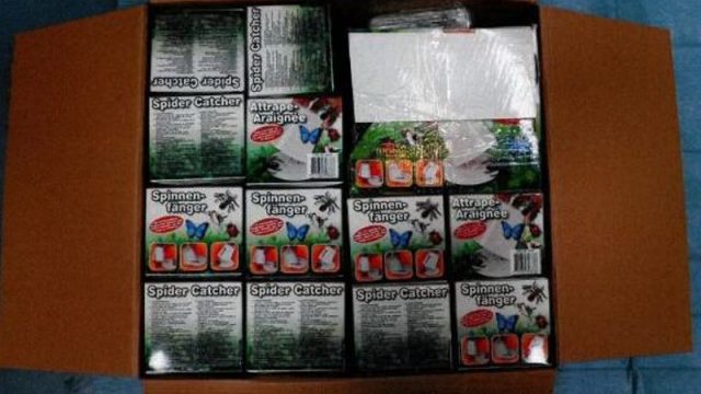 spinnenvangers-drugs-dordrecht