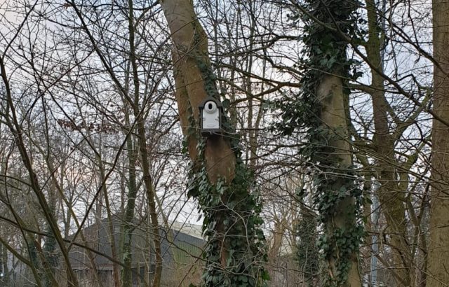 kasten-dieren-oosterpark-sliedrecht