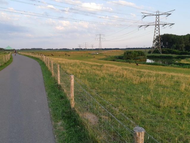 wantijdijk schapen dordrecht
