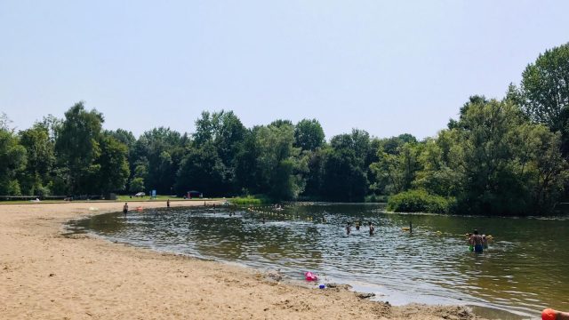 merwelanden-dordrecht-biesbosch